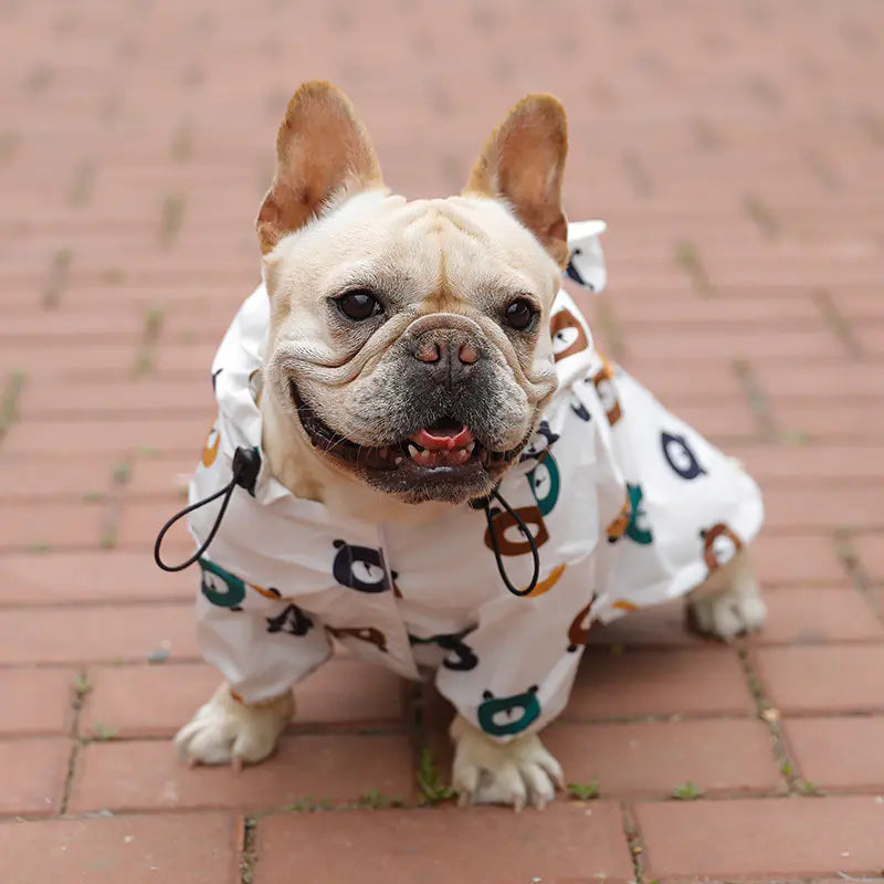 Bulldog Raincoat for Puppies